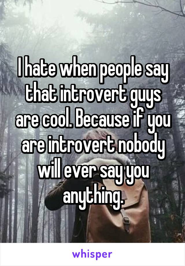 I hate when people say that introvert guys are cool. Because if you are introvert nobody will ever say you anything.