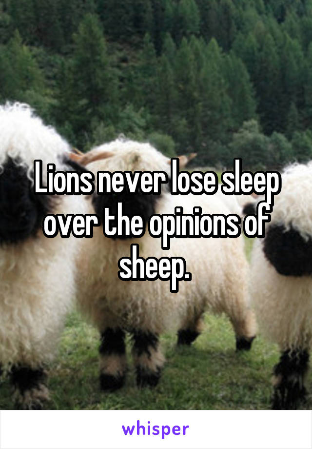 Lions never lose sleep over the opinions of sheep. 