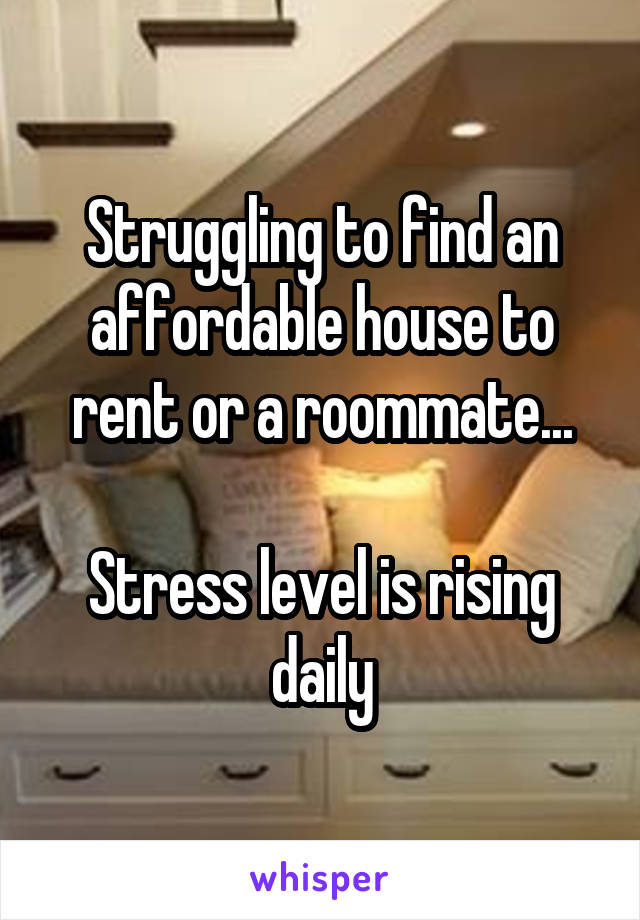 Struggling to find an affordable house to rent or a roommate...

Stress level is rising daily