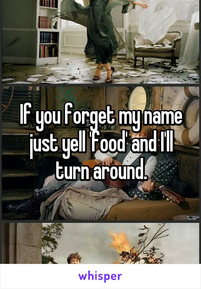 If you forget my name just yell 'food' and I'll turn around.