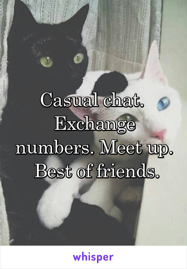 Casual chat. 
Exchange numbers. Meet up.
 Best of friends.