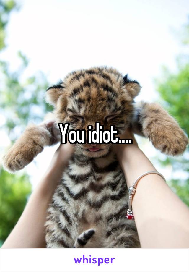 You idiot....