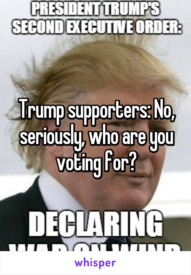 Trump supporters: No, seriously, who are you voting for?