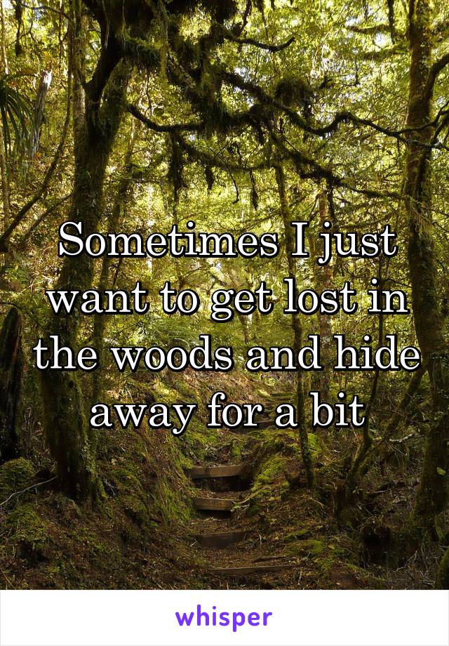 Sometimes I just want to get lost in the woods and hide away for a bit