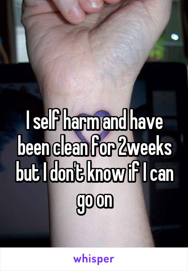 

I self harm and have been clean for 2weeks but I don't know if I can go on