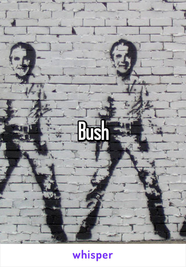 Bush