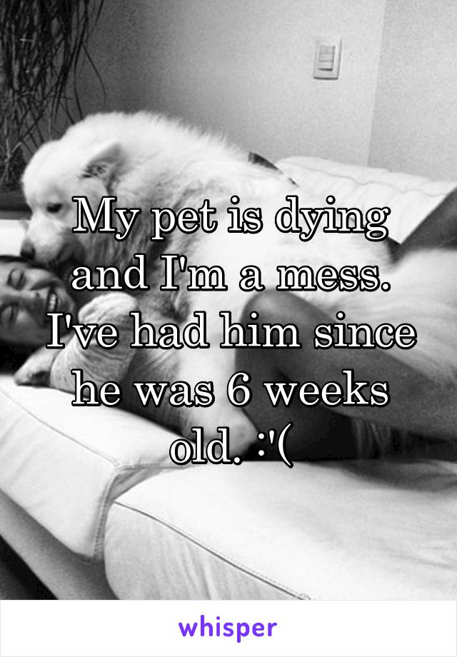 My pet is dying and I'm a mess. I've had him since he was 6 weeks old. :'(