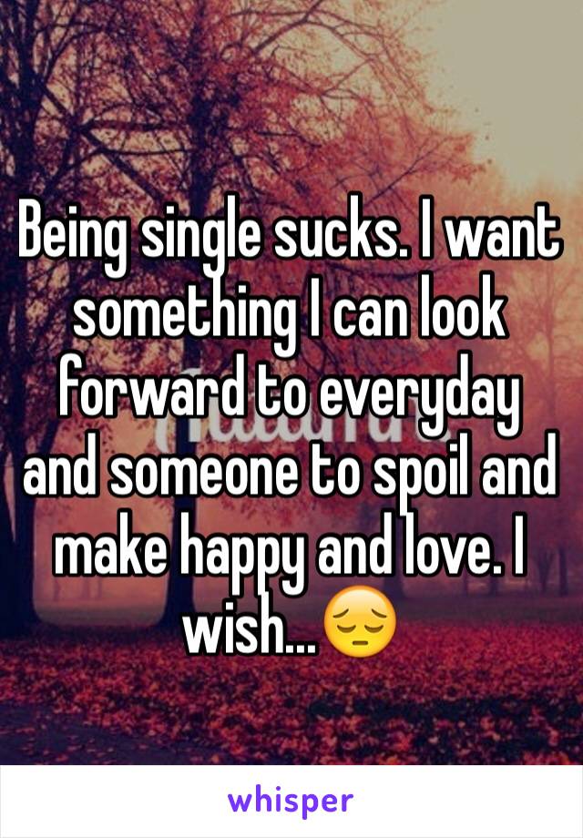 Being single sucks. I want something I can look forward to everyday and someone to spoil and make happy and love. I wish...😔