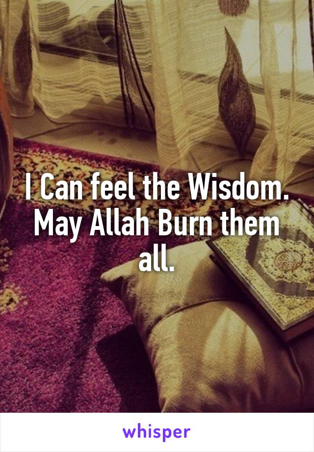 I Can feel the Wisdom.
May Allah Burn them all.