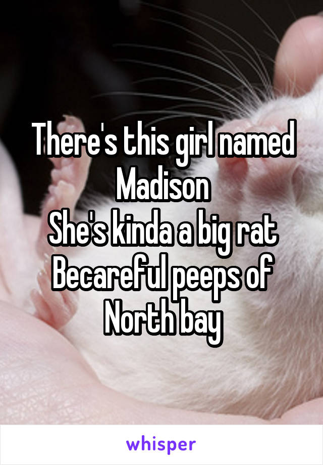 There's this girl named Madison
She's kinda a big rat
Becareful peeps of North bay