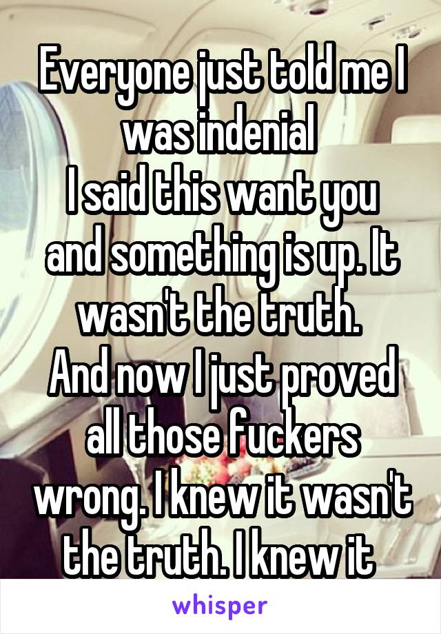 Everyone just told me I was indenial 
I said this want you and something is up. It wasn't the truth. 
And now I just proved all those fuckers wrong. I knew it wasn't the truth. I knew it 