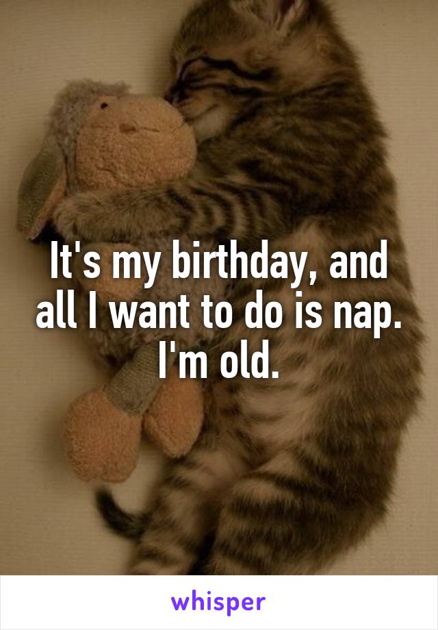 It's my birthday, and all I want to do is nap.
I'm old.