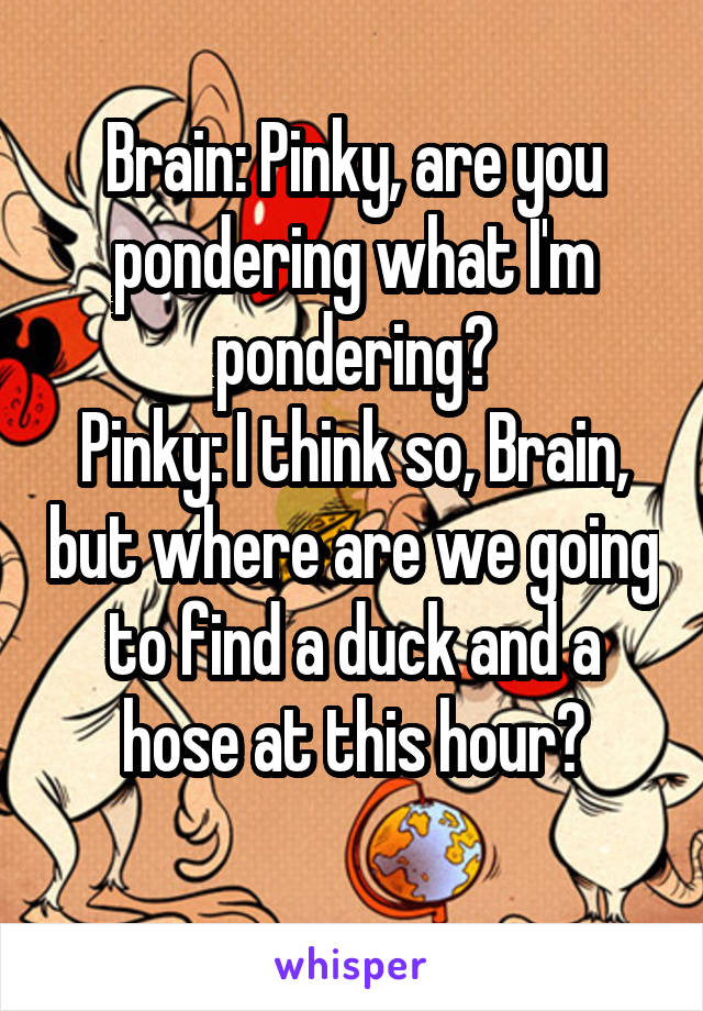 Brain: Pinky, are you pondering what I'm pondering?
Pinky: I think so, Brain, but where are we going to find a duck and a hose at this hour?
