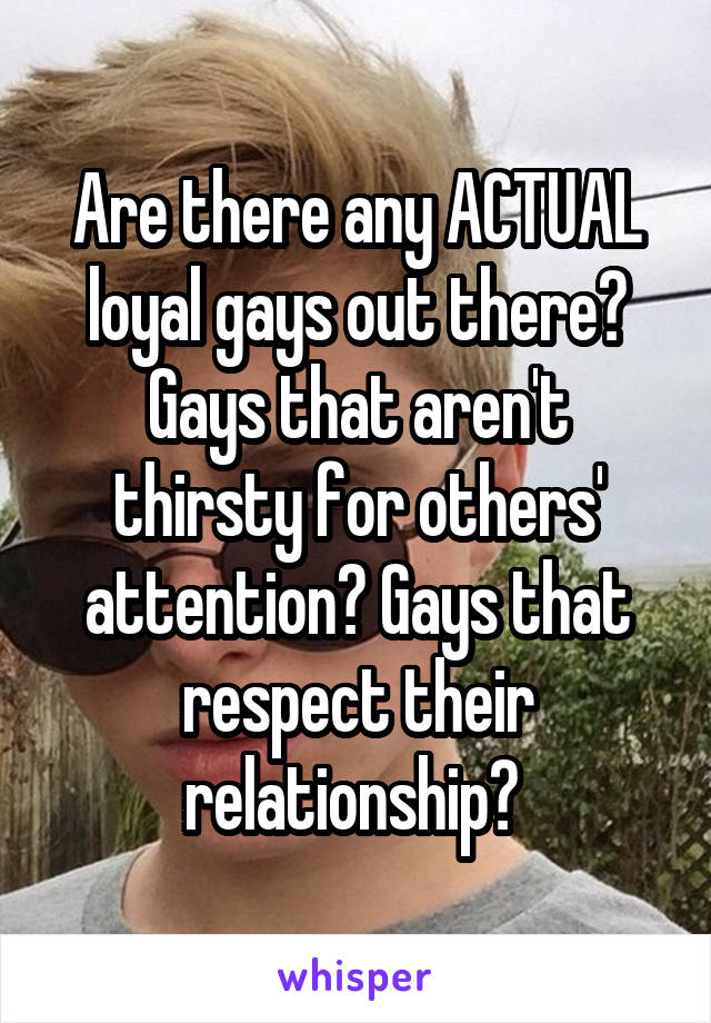 Are there any ACTUAL loyal gays out there? Gays that aren't thirsty for others' attention? Gays that respect their relationship? 