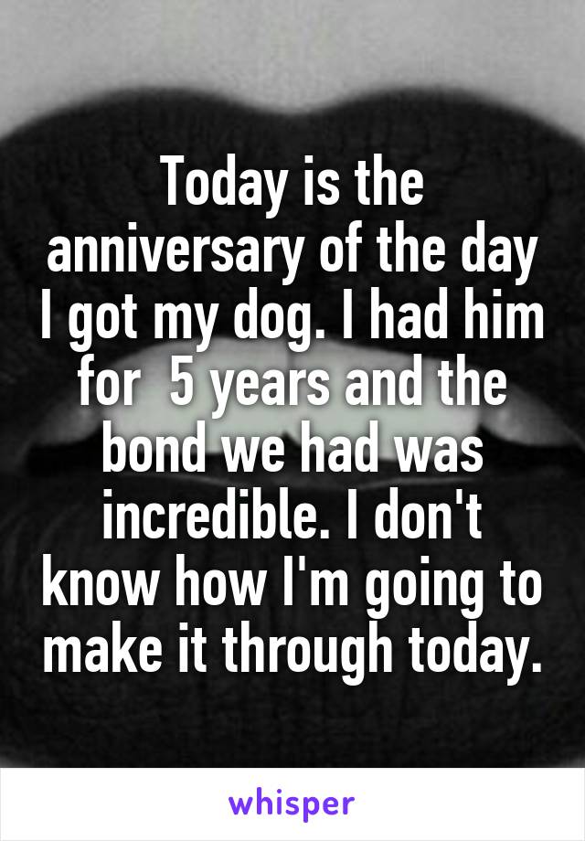 Today is the anniversary of the day I got my dog. I had him for  5 years and the bond we had was incredible. I don't know how I'm going to make it through today.