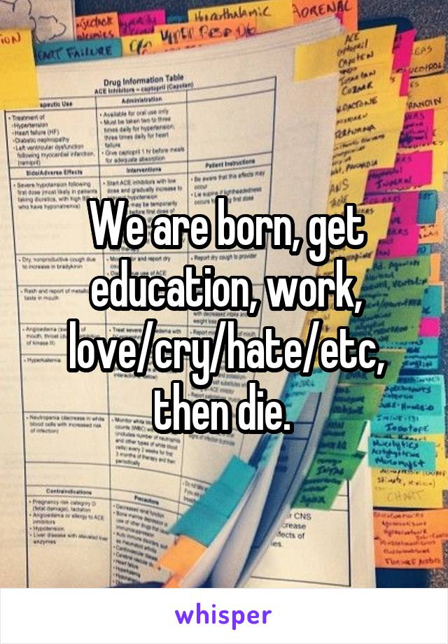 We are born, get education, work, love/cry/hate/etc, then die. 