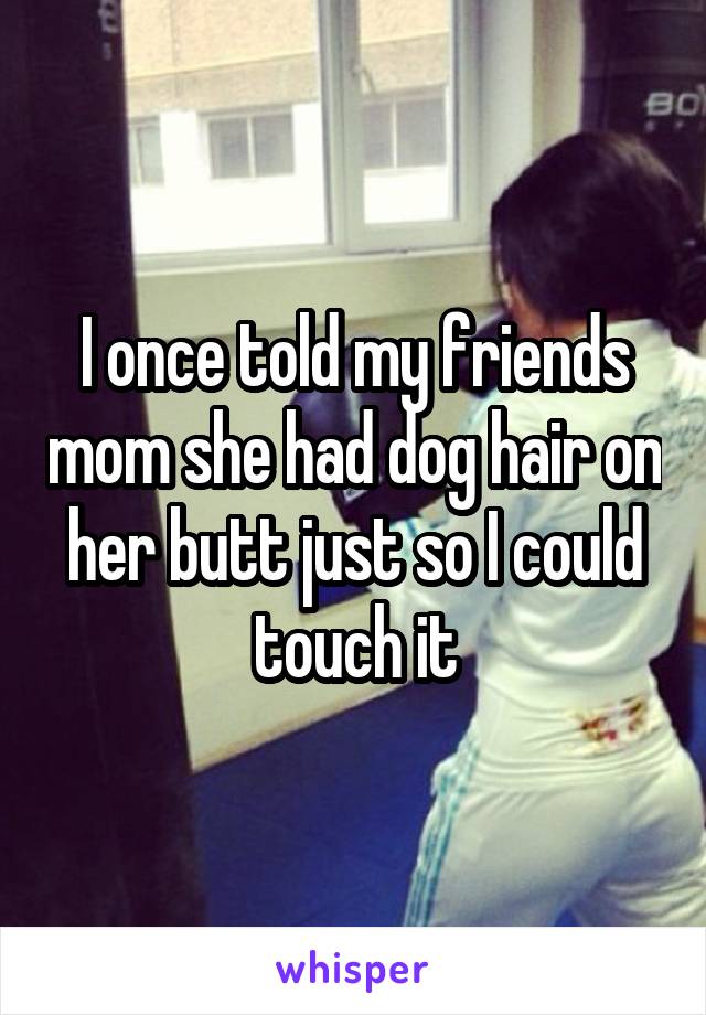 I once told my friends mom she had dog hair on her butt just so I could touch it