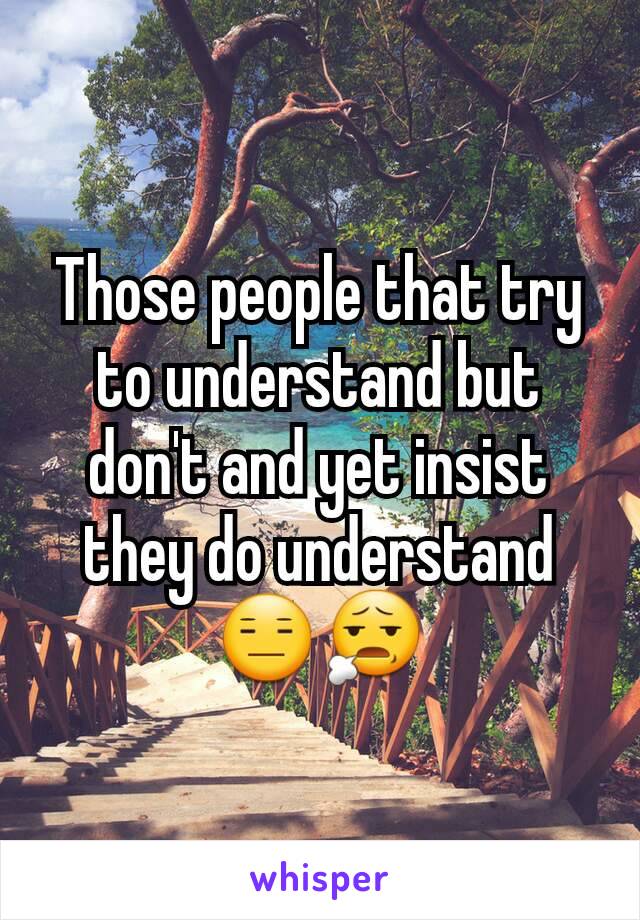 Those people that try to understand but don't and yet insist they do understand 😑😧