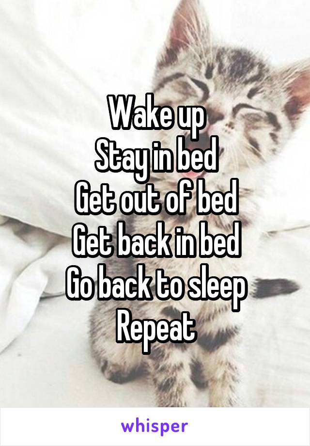 Wake up
Stay in bed
Get out of bed
Get back in bed
Go back to sleep
Repeat