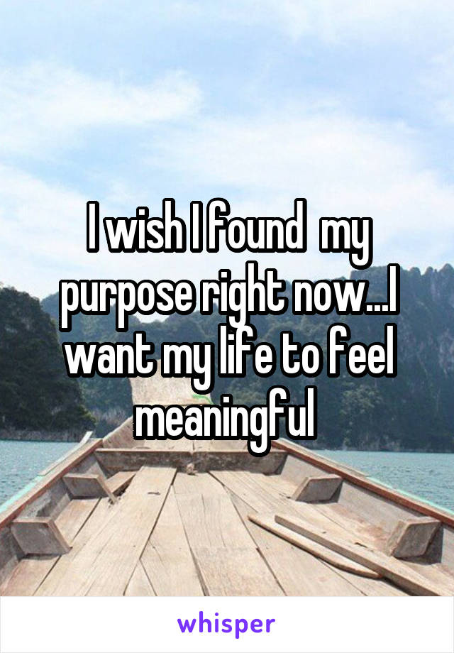 I wish I found  my purpose right now...I want my life to feel meaningful 