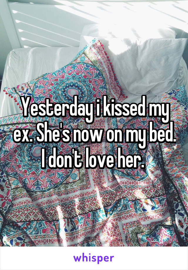 Yesterday i kissed my ex. She's now on my bed. I don't love her. 