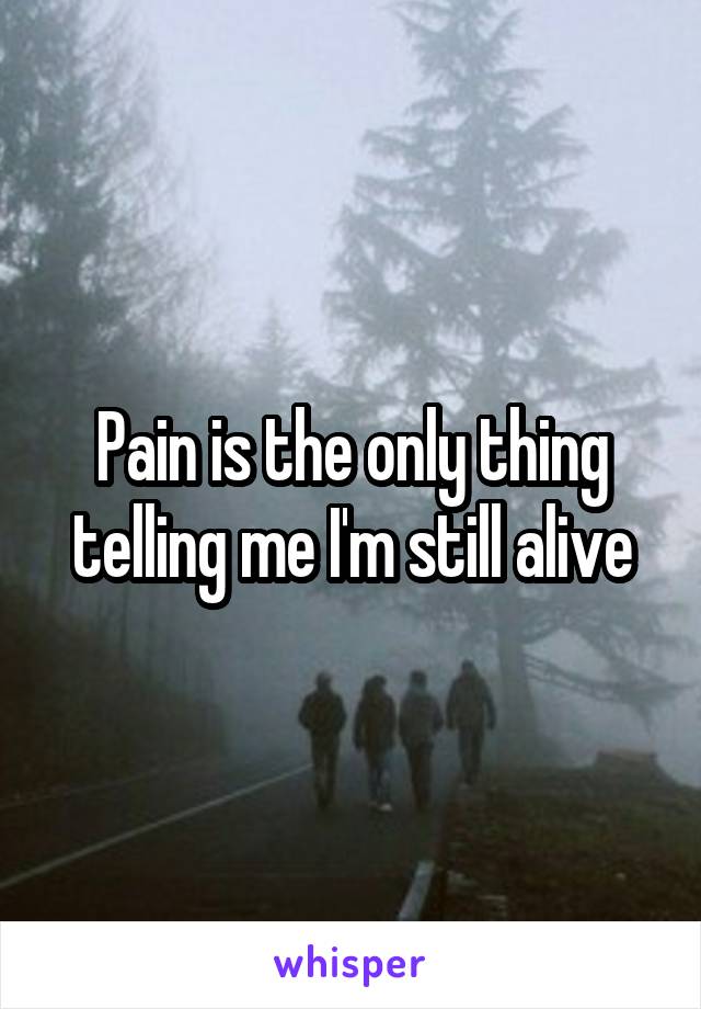 Pain is the only thing telling me I'm still alive