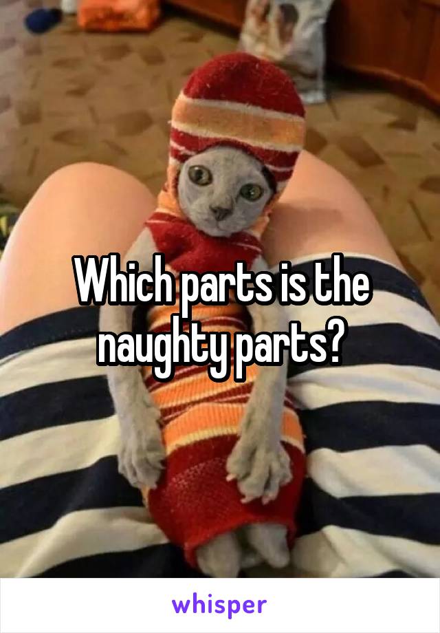 Which parts is the naughty parts?