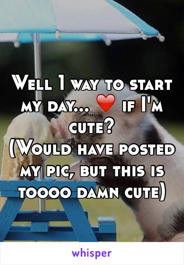 Well 1 way to start my day... ❤️ if I'm cute? 
(Would have posted my pic, but this is toooo damn cute)