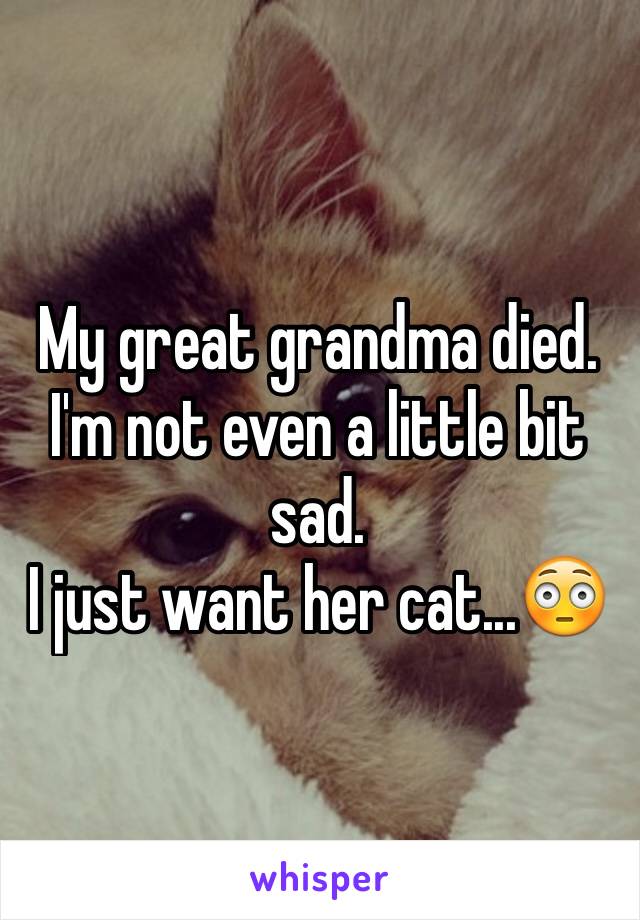 My great grandma died. I'm not even a little bit sad. 
I just want her cat...😳