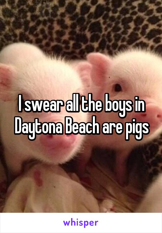 I swear all the boys in Daytona Beach are pigs