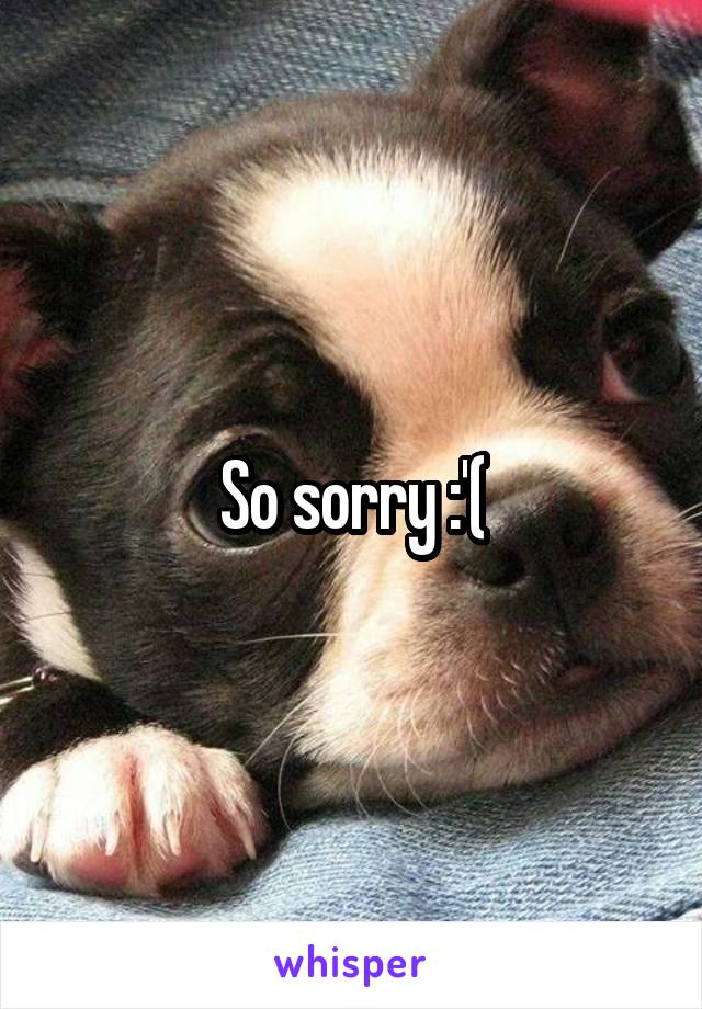 So sorry :'(