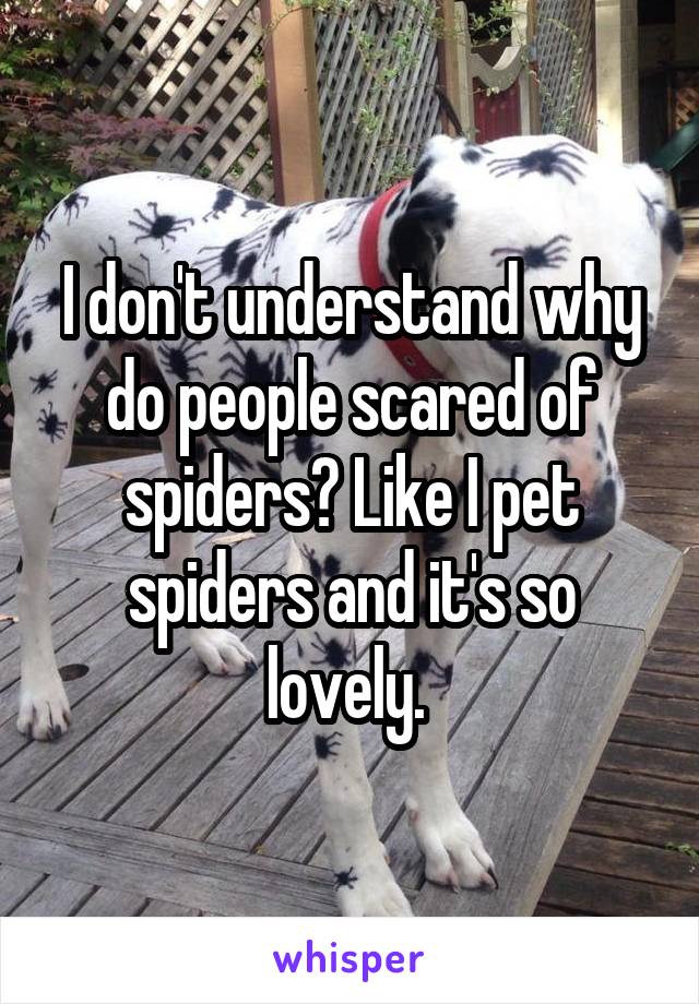 I don't understand why do people scared of spiders? Like I pet spiders and it's so lovely. 