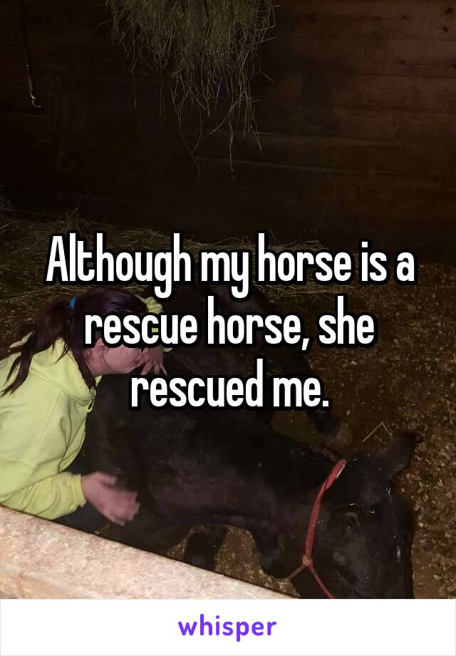 Although my horse is a rescue horse, she rescued me.