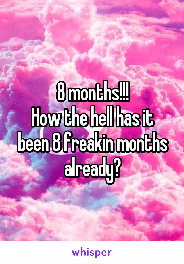 8 months!!!
How the hell has it been 8 freakin months already?