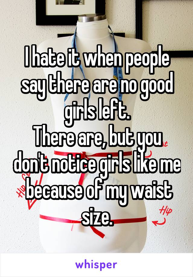 I hate it when people say there are no good girls left.
There are, but you don't notice girls like me  because of my waist size.