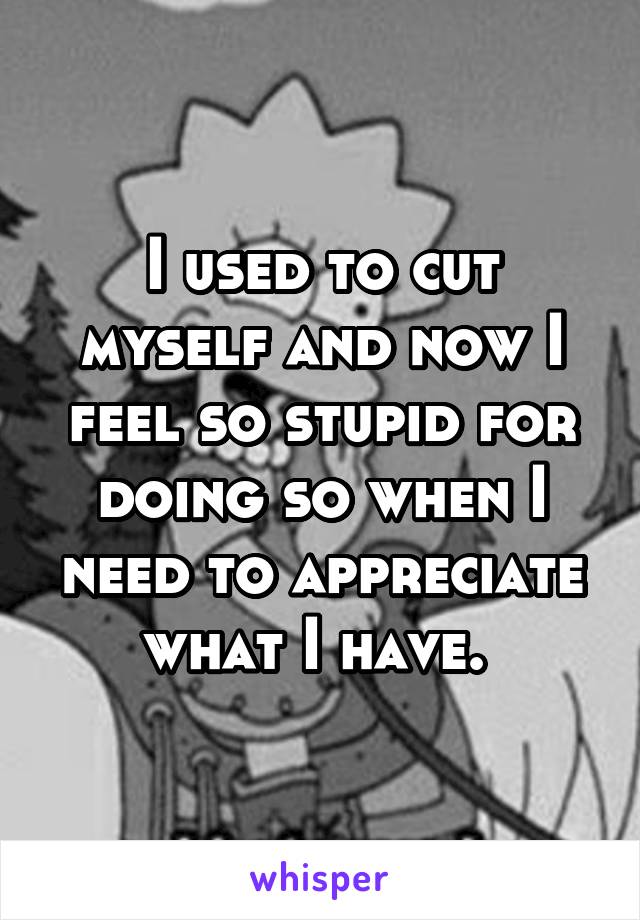 I used to cut myself and now I feel so stupid for doing so when I need to appreciate what I have. 