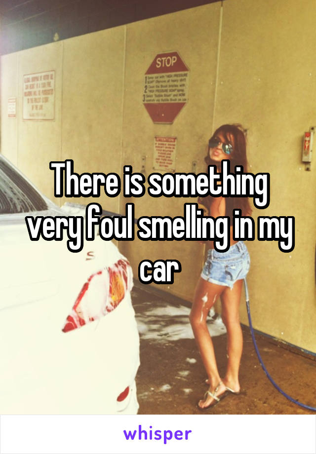 There is something very foul smelling in my car