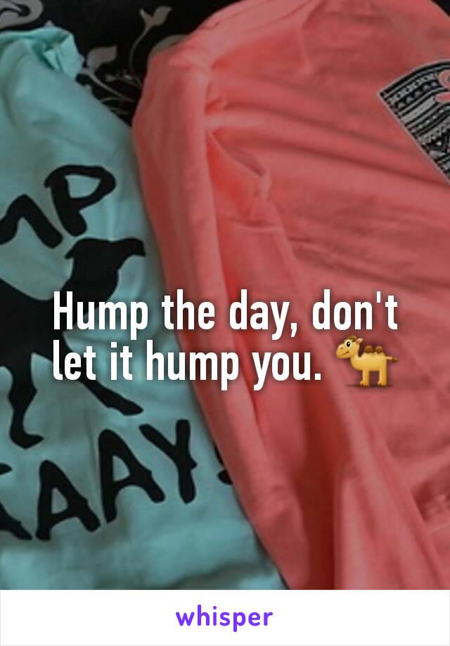 Hump the day, don't let it hump you. 🐫