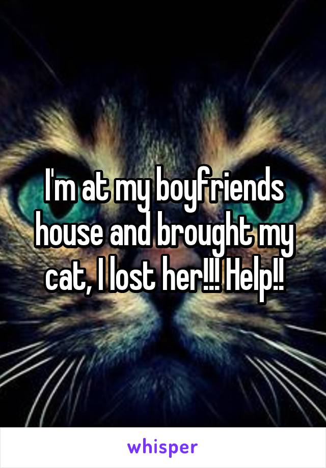 I'm at my boyfriends house and brought my cat, I lost her!!! Help!!