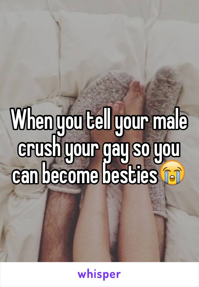 When you tell your male crush your gay so you can become besties😭