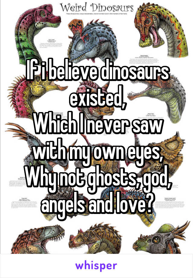 If i believe dinosaurs existed,
Which I never saw with my own eyes,
Why not ghosts, god, angels and love?