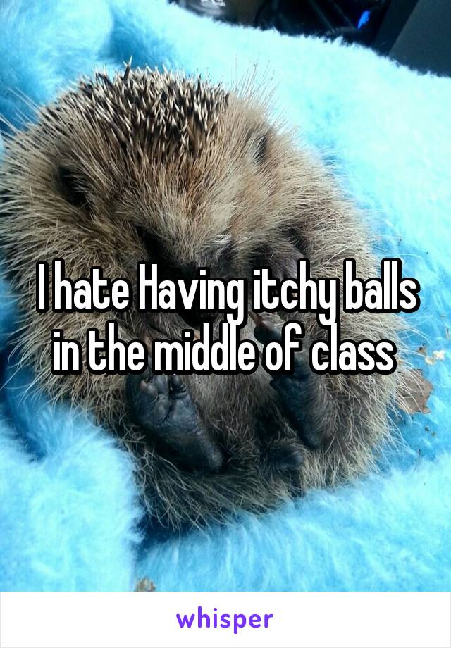 I hate Having itchy balls in the middle of class 