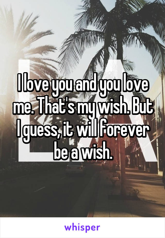 I love you and you love me. That's my wish. But I guess, it will forever be a wish.