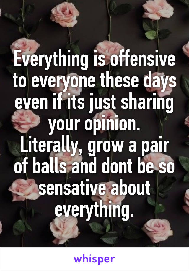 Everything is offensive to everyone these days even if its just sharing your opinion.
Literally, grow a pair of balls and dont be so sensative about everything.