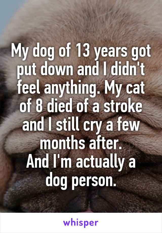 My dog of 13 years got put down and I didn't feel anything. My cat of 8 died of a stroke and I still cry a few months after.
And I'm actually a dog person.