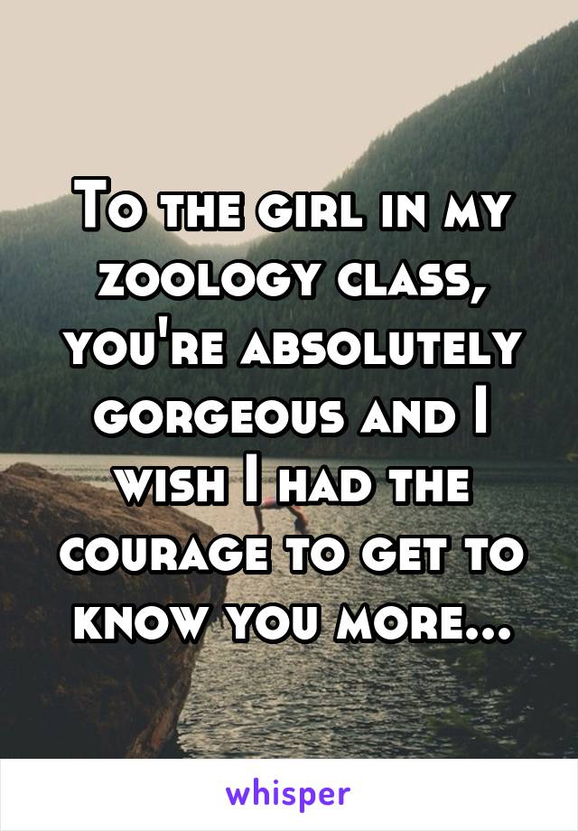 To the girl in my zoology class, you're absolutely gorgeous and I wish I had the courage to get to know you more...