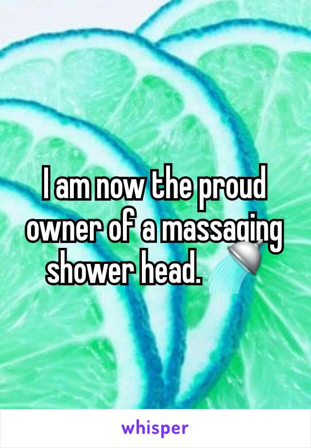 I am now the proud owner of a massaging shower head. 🚿