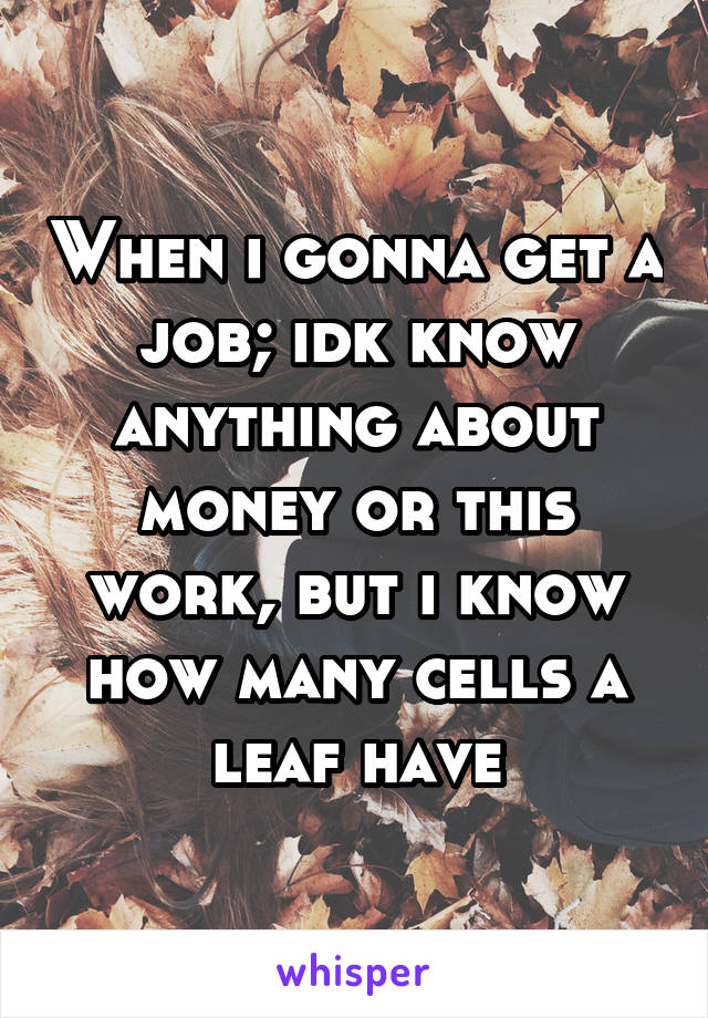 When i gonna get a job; idk know anything about money or this work, but i know how many cells a leaf have