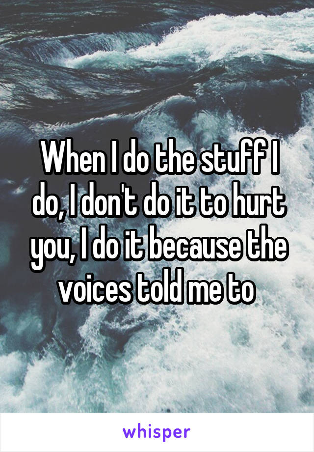 When I do the stuff I do, I don't do it to hurt you, I do it because the voices told me to 