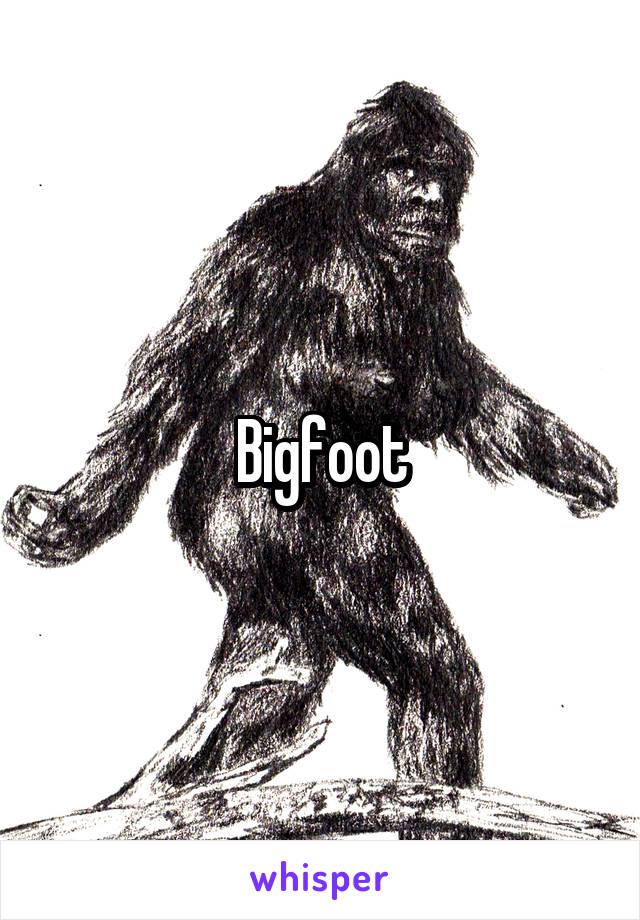 Bigfoot